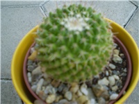 d19fa67b-Picture 274.jpg